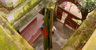 ঢাকায় ২৫২ প্রাথমিক বিদ্যালয়ে নেই মাঠ, প্রযুক্তিতে বন্দি হচ্ছে শৈশব